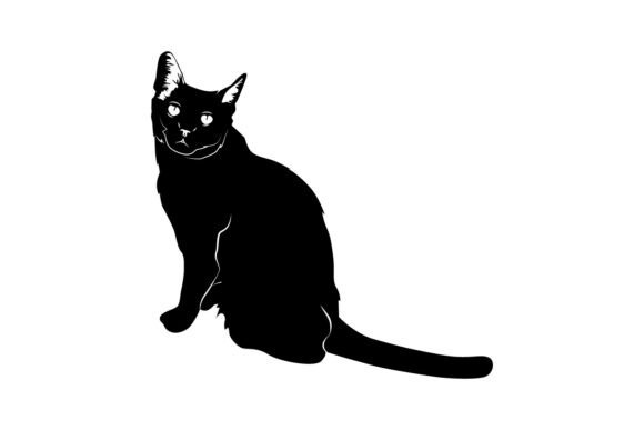 Animal Cat Silhouette Black and White Gr
