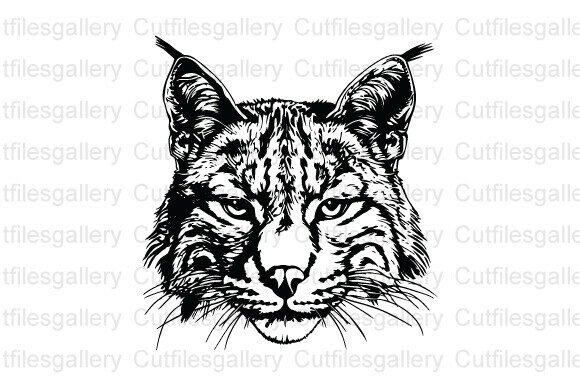 Bobcat SVG, Wild Cat SVG, Cat SVG