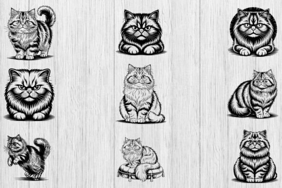 Persian Cat SVG Bundle: A Designer’s Real-World Embroidery Review